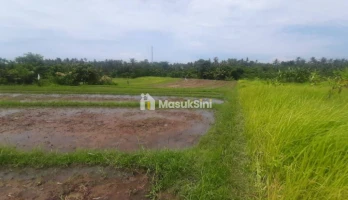Jual Tanah Lahan Pemukiman 1,06 Hektar View Sawah Gunung Dekat Tol Lingkar