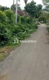 Jual Tanah Lahan Perkebunan Anggur 11 Are Pemuteran Buleleng