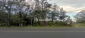 Jual Tanah Premium 15203m2 Pinggir Pantai Antap Selemadeg Tabanan