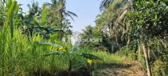Jual Tanah Premium 98 Are Lodtunduh Ubud Gianyar Bali