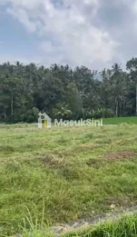 Jual Tanah View Sawah 34 Are Selemadeg Tabanan