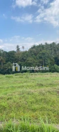 Jual Tanah View Sawah 34 Are Selemadeg Tabanan
