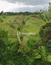 Sewa Jangka Panjang Tanah 64 Are Kaba Kaba Kediri Tabanan