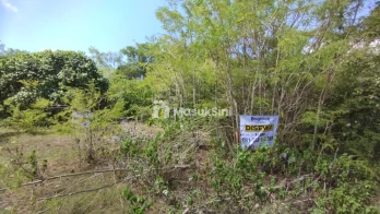 Sewa Min 10 Tahun Tanah 4 Are di Ungasan: Pilihan Terbaik untuk Investasi A
