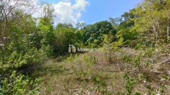 Sewa Min 10 Tahun Tanah 4 Are di Ungasan: Pilihan Terbaik untuk Investasi A