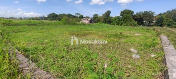 Sewa Min 30 Tahun Tanah 350m2 Pererenan Mengwi Badung