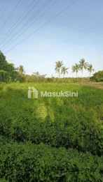 Sewa Tanah 11 Are Buwit Kediri Tabanan