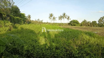 Sewa Tanah 11 Are Buwit Kediri Tabanan