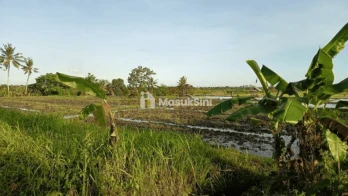 Sewa Tanah 11 Are Buwit Kediri Tabanan