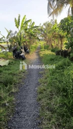 Sewa Tanah 11 Are Buwit Kediri Tabanan
