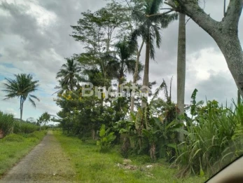 TANAH MURAH JATISARI MALANG