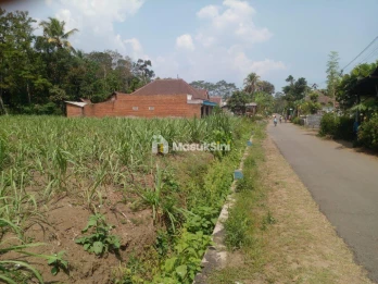 Tanah Luas Dijual Murah di Pringu Kab Malang
