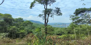 Tanah Untuk resort wisata peternakan dan perkebunan di Subang