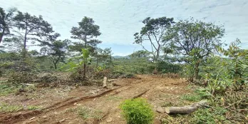 Tanah Untuk resort wisata peternakan dan perkebunan di Subang