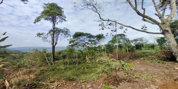 Tanah Untuk resort wisata peternakan dan perkebunan di Subang