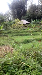 Tanah View Kota Bandung Utk Rumah Villa Kebun di Ujung Berung Bandung