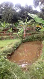 Tanah View Kota Bandung Utk Rumah Villa Kebun di Ujung Berung Bandung