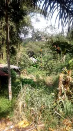 Tanah View Kota Bandung Utk Rumah Villa Kebun di Ujung Berung Bandung