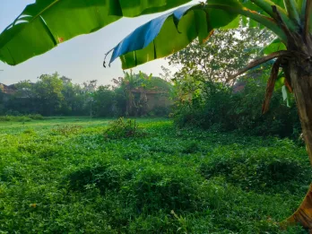 Dijual Tanah Luas & Strategis – Cocok untuk Investasi atau Hunian Keluarga