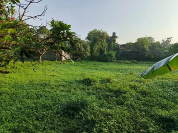 Dijual Tanah Luas & Strategis – Cocok untuk Investasi atau Hunian Keluarga