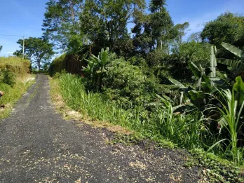 BUC Jual Tanah 3850m2 Pinggir Jalan Nasional Jalan Raya Baturiti Tabanan