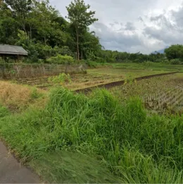 Dijual Lahan Sawah Produktif 4.167 m² SHM di Leuwigoong Garut