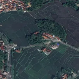Dijual Lahan Sawah Produktif 4.167 m² SHM di Leuwigoong Garut