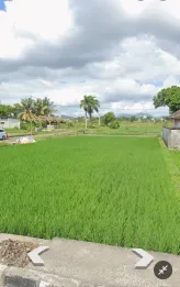 Dijual Tanah 3,6 Hektar Dekat RSUP Mataram Lombok Nusa Tenggara Barat