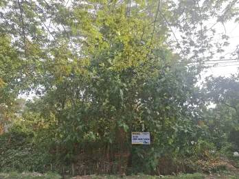 Dijual Tanah Araya Malang