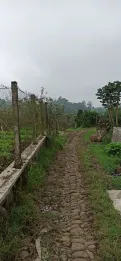 Dijual Tanah Luas di Bumiaji, Kota Batu
