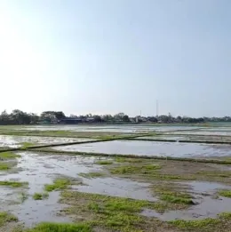 Dijual Tanah Luas di Telagasari, Kabupaten Karawang