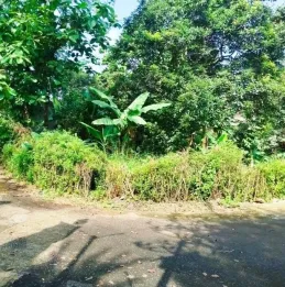 Dijual Tanah SHM Luas di Loji, Bogor Barat