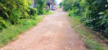 Disewakan Tanah 10 Are Jl Persada Kerobokan Kuta Utara Badung Bali