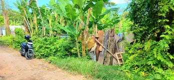 Disewakan Tanah 10 Are Jl Persada Kerobokan Kuta Utara Badung Bali