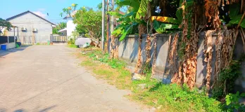 Disewakan Tanah 10 Are Jl Persada Teuku Umar Barat Kerobokan Bali