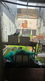 JUAL Kavling, Bisa Bangun Ruko, Strategis, Ramai, Bebas Banjir, Sunter