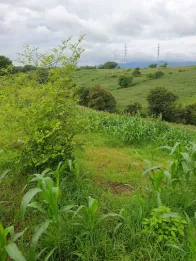 Jual Tanah 10 Hektar Bypass Nijang Sumbawa Nusa Tenggara Barat