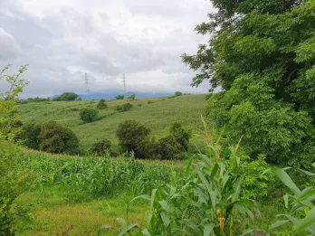 Jual Tanah 10 Hektar Bypass Nijang Sumbawa Nusa Tenggara Barat