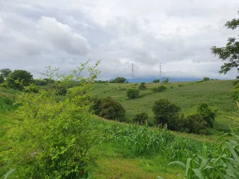 Jual Tanah 10 Hektar Bypass Nijang Sumbawa Nusa Tenggara Barat