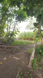 Jual Tanah 10 Hektar Pelabuhan Tano Sumbawa NTB