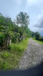 Jual Tanah 10 Hektar Poto Tano Dekat Hotel Pantai Kencana Sumbawa NTB