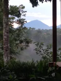 Jual Tanah 138 Are Buahan Payangan Gianyar