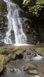 Jual Tanah 138 Are Buahan Payangan Gianyar