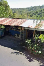Jual Tanah 144 Are View Pegunungan Hutan Munduk Buleleng