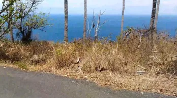 Jual Tanah 183 Are Hadap Timur Suana Nusa Penida Klungkung