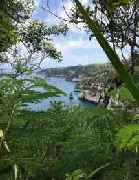 Jual Tanah 250 Are Dekat Atuh Diamond Beach Nusa Penida Pejukutan Klungkung