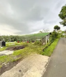 Jual Tanah 3150m2 Bonus Bangunan Abuan Kintamani Bangli