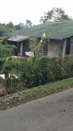 Jual Tanah 3150m2 Bonus Bangunan Abuan Kintamani Bangli