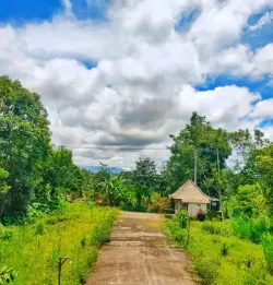 Jual Tanah 5140m2 Bonus Bangunan dan Peternakan Abuan Kintamani Bangli