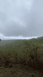 Jual Tanah 550 Are Ped Sental Kangin Nusa Penida Dekat Pelabuhan Buyuk